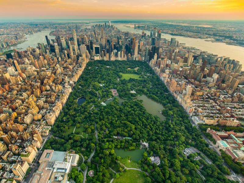 Immersion accompagnée à NYC