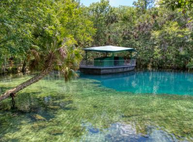 Tallahassee - Orlando, FL (545 km)