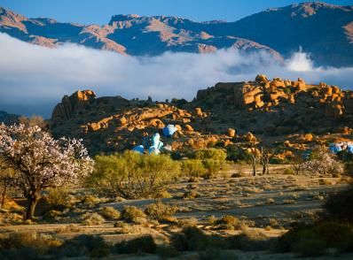 Taroudant - Tafraoute - Tizzourgane