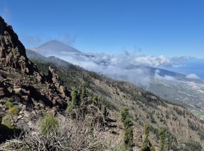 Aankomst op Tenerife
